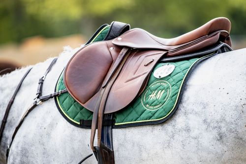 VIELFALT DES SPORTS | Folge 19: Springreiten