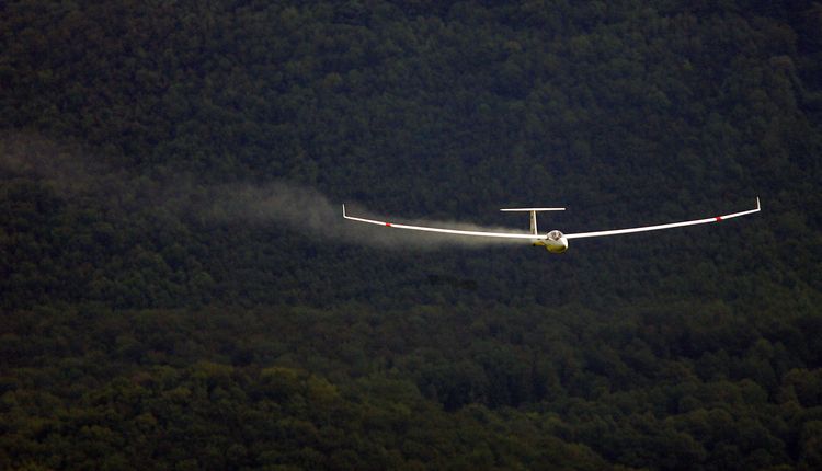 Segelfliegen | Liga-Neuling springt aufs Treppchen