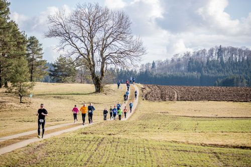 VIELFALT DES SPORTS | Folge 12: Volkslauf