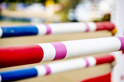 VIELFALT DES SPORTS | Folge 19: Springreiten