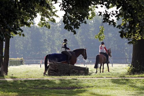 Personalie | Schaudt steht nun an der Spitze des VDD
