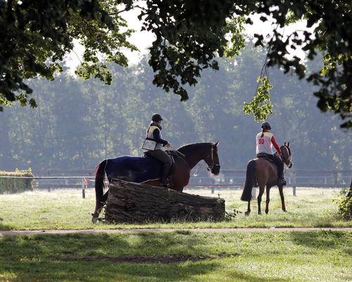 Personalie | Schaudt steht nun an der Spitze des VDD