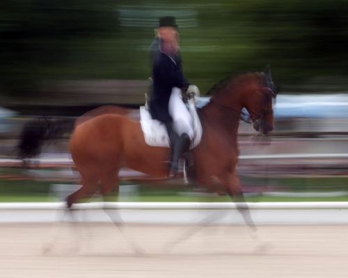 Pferdesport | Reutlinger Dressurtage mit S***-Prüfungen