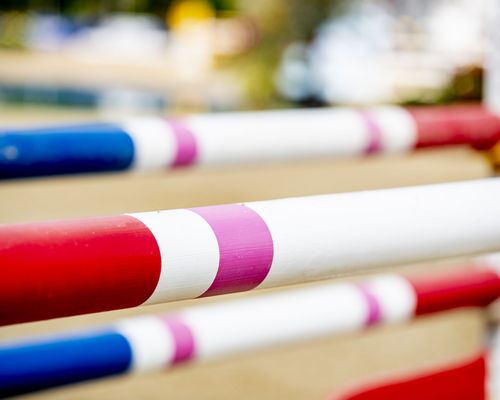 Auszeichnung | RV Esslingen unter den Preisträgern