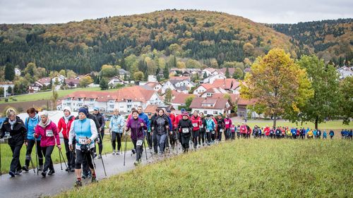 VIELFALT DES SPORTS | Nordic Walking