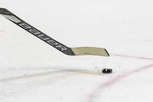 VIELFALT DES SPORTS | Folge 40: Eishockey