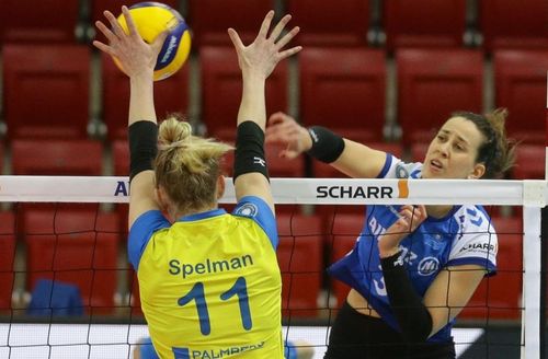 Volleyball | Allianz MTV Stuttgart steht im Finale