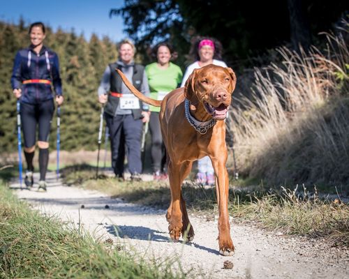 Aktionstag | Tag des Wanderns am 17. September