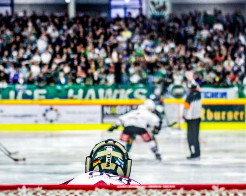 VIELFALT DES SPORTS | Folge 40: Eishockey