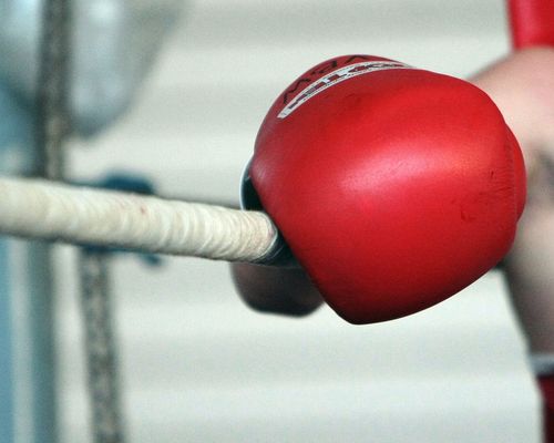Boxen | Helena Engels setzt sich durch