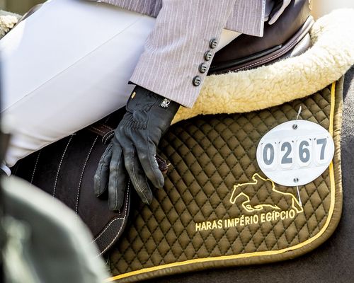 Stuttgart | REITSPORT im Theater der Altstadt