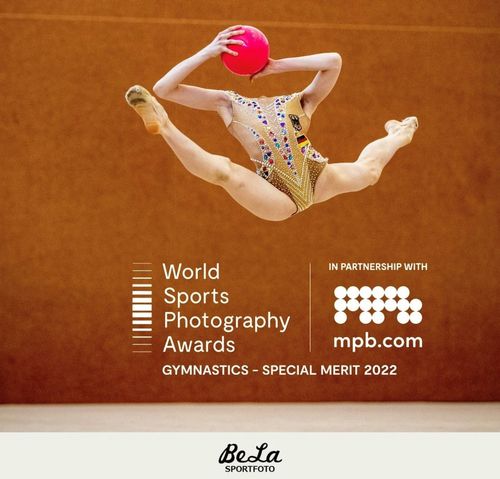 Auszeichnung | WSPA-Special-Merit für Benjamin Lau