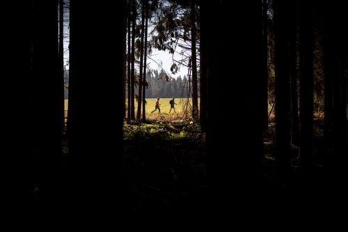 Auch im Wald kann man sich sportlich betätigen. | Foto: Benjamin Lau STARK FÜRS KLIMA | Folge 2: Sport und Wald
