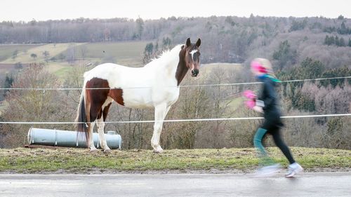 VIELFALT DES SPORTS | Folge 12: Volkslauf