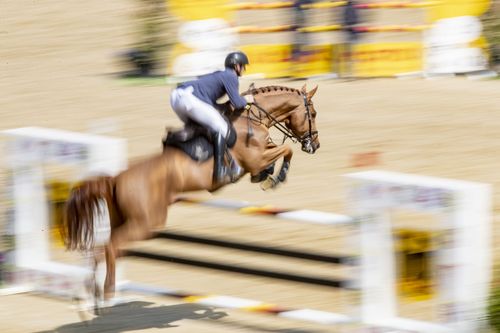 VIELFALT DES SPORTS | Folge 19: Springreiten