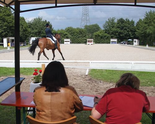 Pferdesport | Jubiläumsauflage in Ludwigsburg