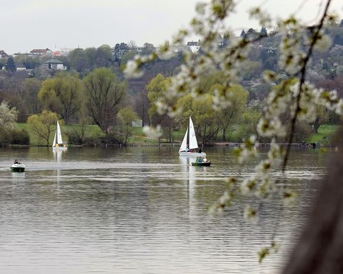 Aktionstag | "Inklusives Segeln" am 6. Mai in Stuttgart 