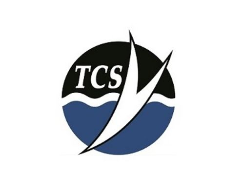 Unterwasserrugby | Damen des TCS gewinnen Silber