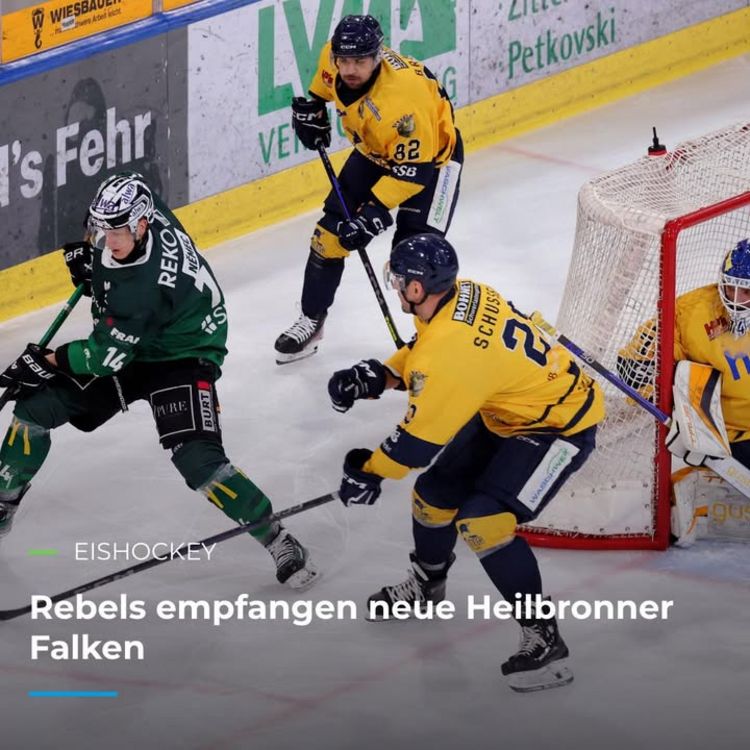 🏒 EISHOCKEY 🏒 Rebels empfangen neue Heilbronner Falken