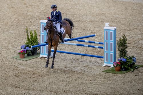 VIELFALT DES SPORTS | Folge 19: Springreiten