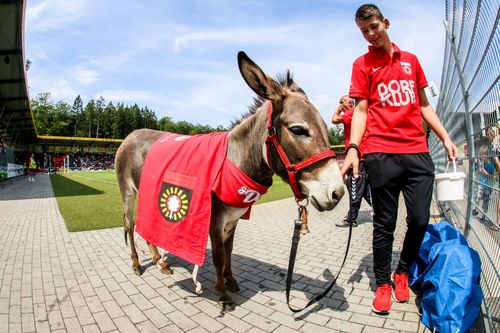 Saisoneröffnung | SG-Dorffest am 1. Juli