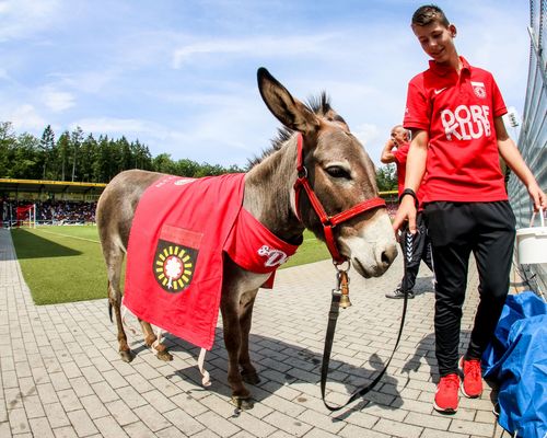 Saisoneröffnung | SG-Dorffest am 1. Juli