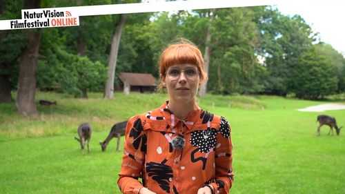 NaturVision Filmfestival | "Nicht nur ein Erfolg in Zahlen" 