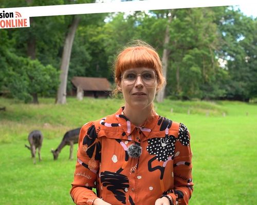 NaturVision Filmfestival | "Nicht nur ein Erfolg in Zahlen" 