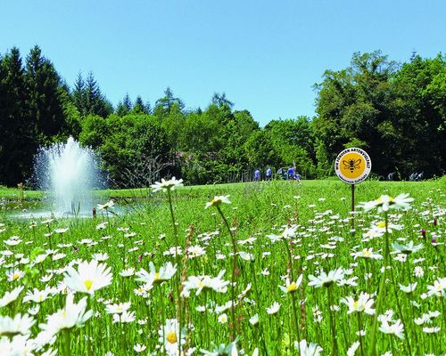 Sport und Natur | Golfclubs fördern Artenvielfalt in Baden-Württemberg