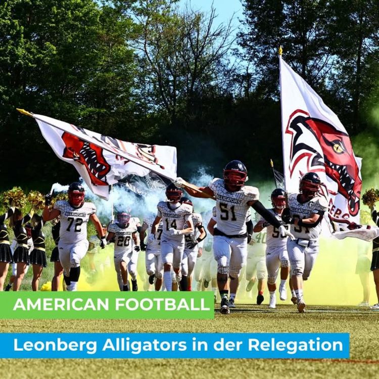 🏈 AMERICAN FOOTBALL 🏈 Leonberg Alligators in der Relegation